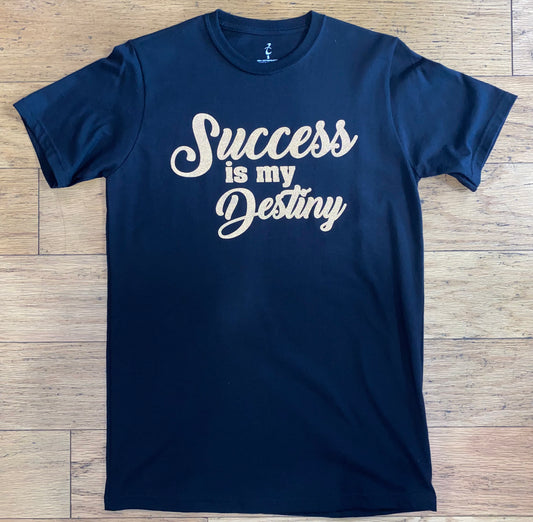 Success is my Destiny - T-Shirt